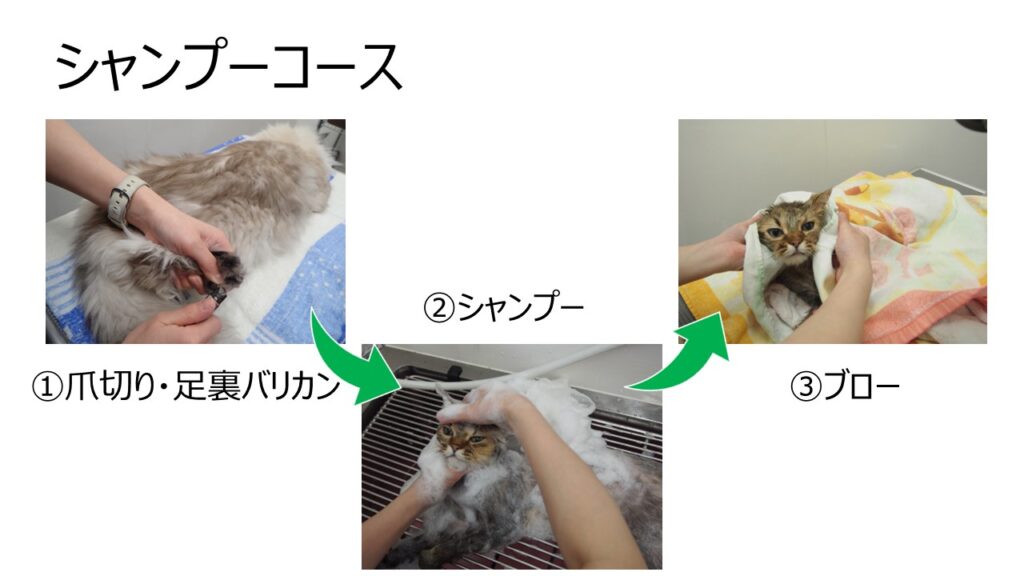トリミング　シャンプーコース